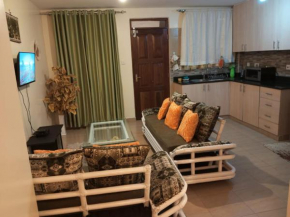Johari Studio apartment in Lavington